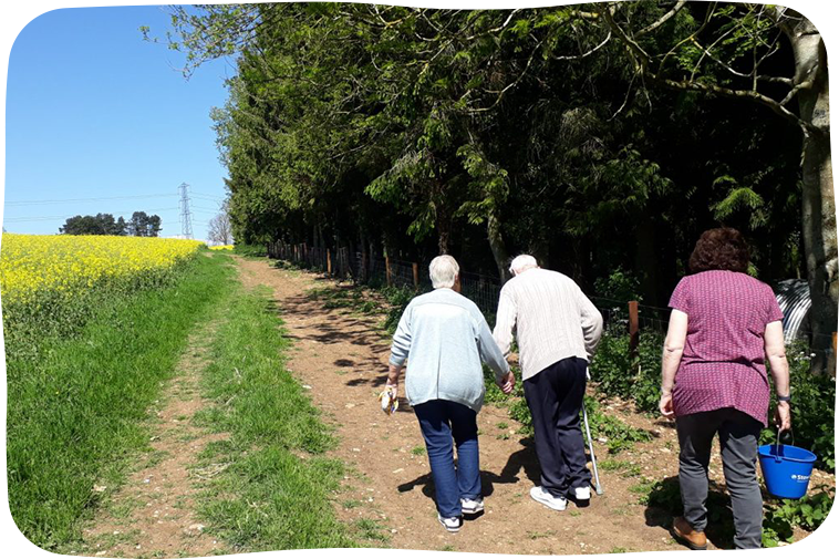 Walking alongside farm fields