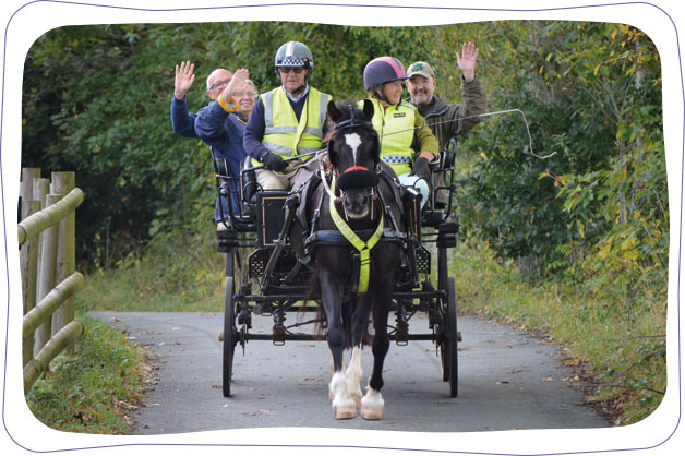 Horse and Cart ride