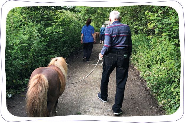 Nature walk