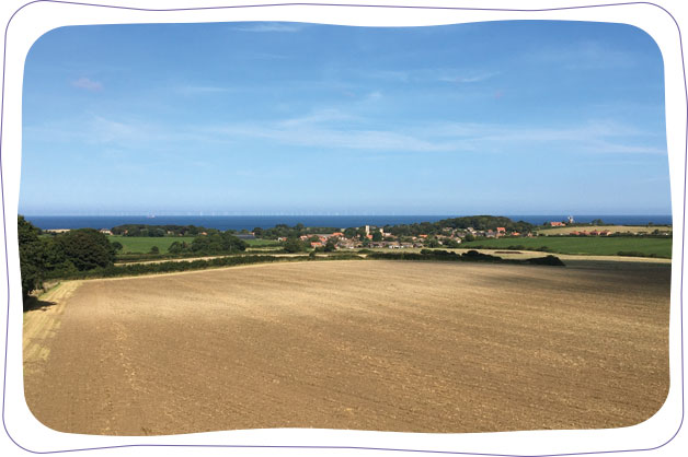 Norfolk fields and coastline
