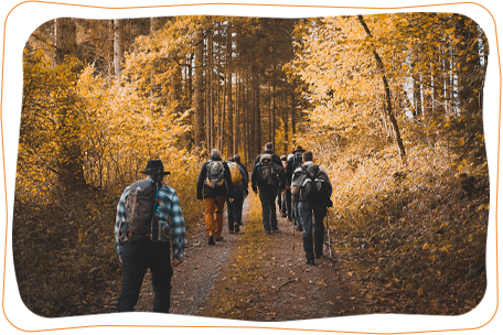 group walking through the woods