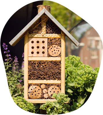 bug hotel