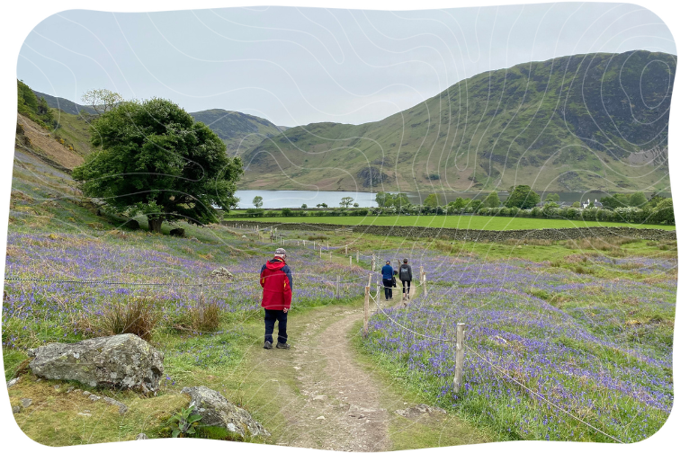 A man in a red coat walks down a path through a field of bluebells, with a lake surrounded by moutnains in the distance.