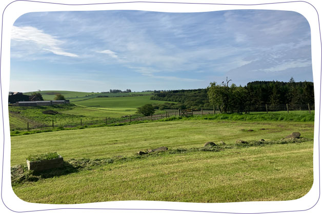 countryside-view